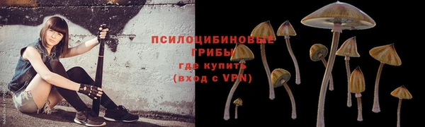 твердый Арсеньев