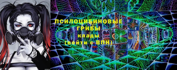 твердый Арсеньев