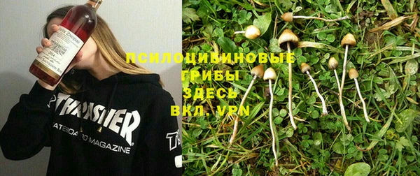 твердый Арсеньев