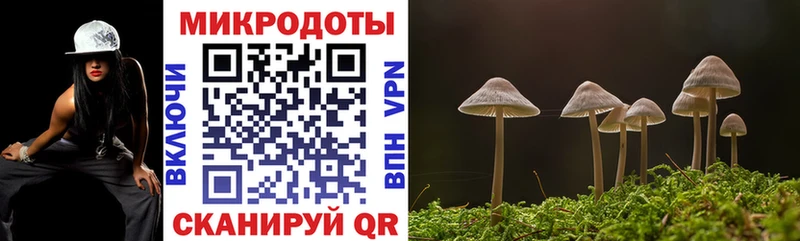 купить закладку  Междуреченск  мега зеркало  Галлюциногенные грибы мухоморы 