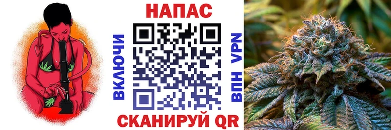 Бошки марихуана OG Kush  Междуреченск 